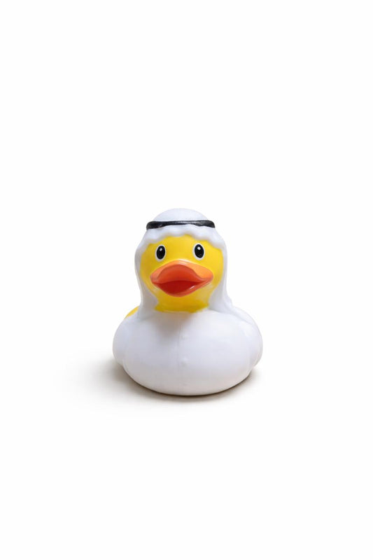 Arabian Duck