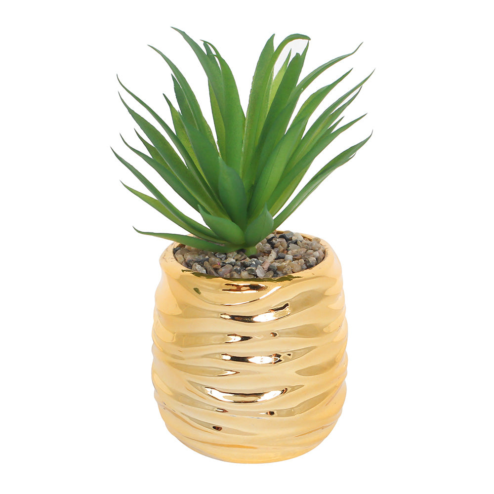 Golden Grass Pot