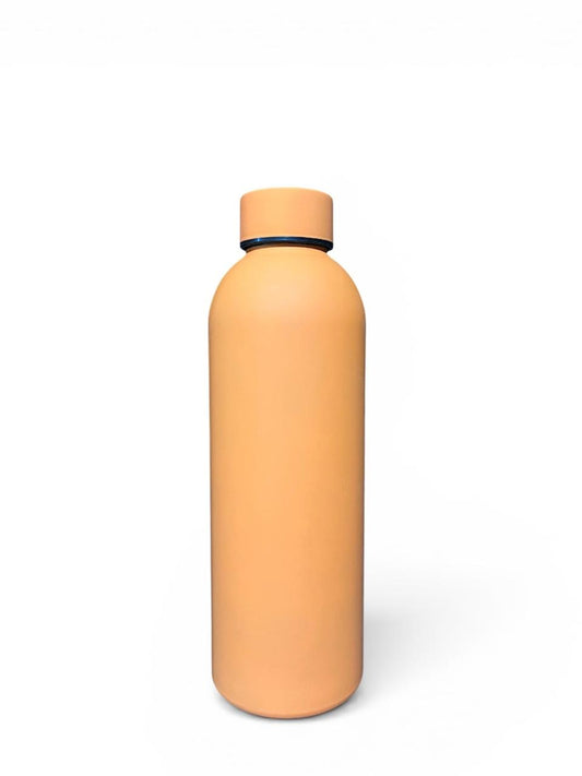Stainless Steel Bottle
