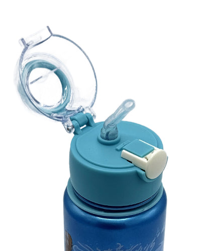 Stitch playing School flask Blue bottle