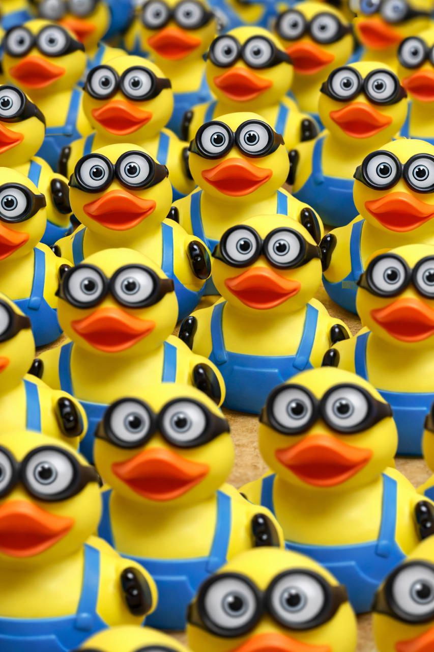 Minion Duck