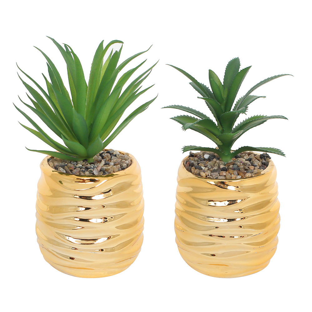 Golden Grass Pot